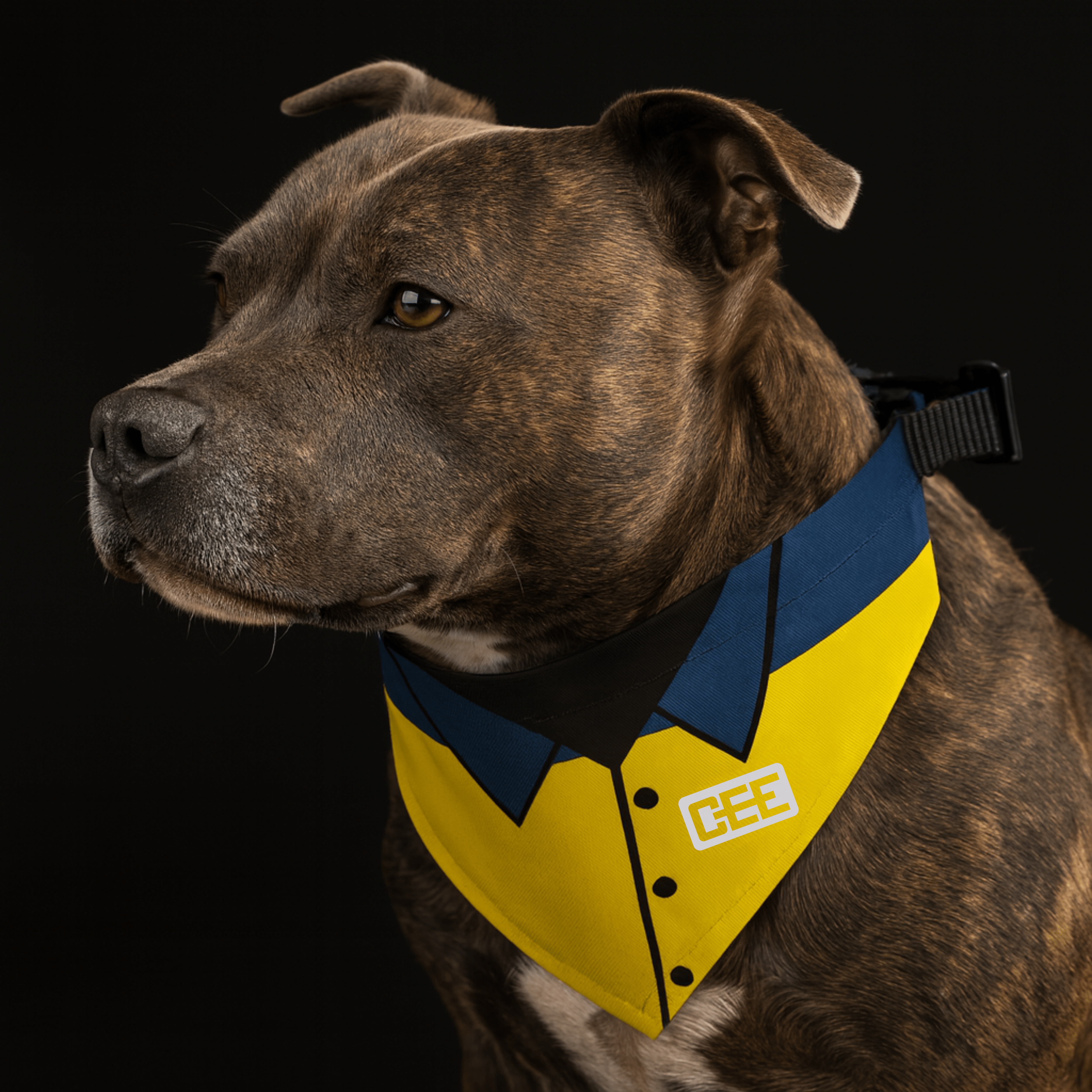 Pet Collar Bandana | Safety Officer Shirt
